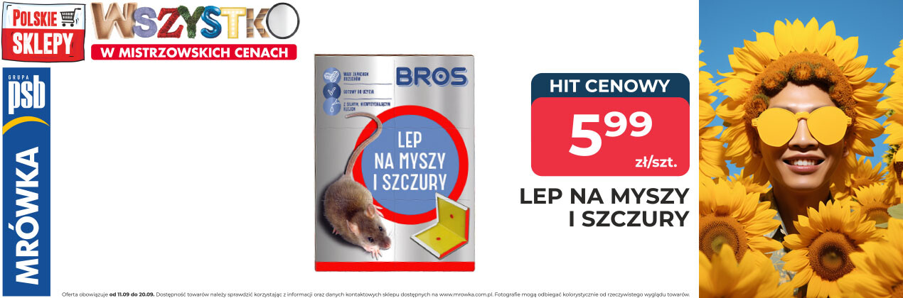 zdjęcie na stronie głównej